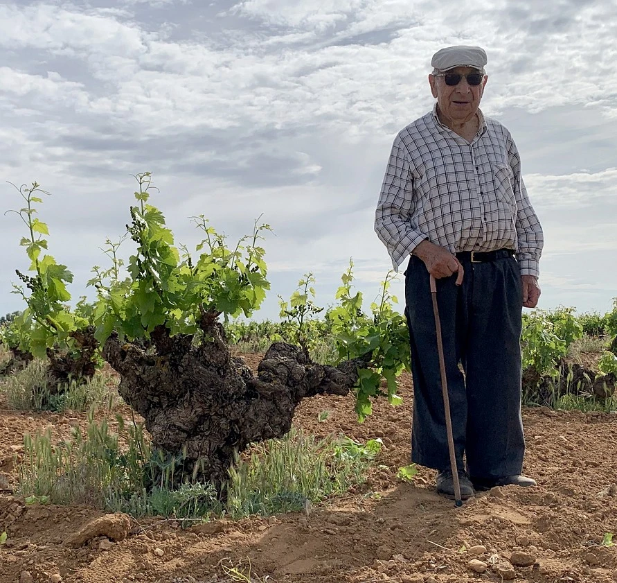 Bodega Sotero Pintado