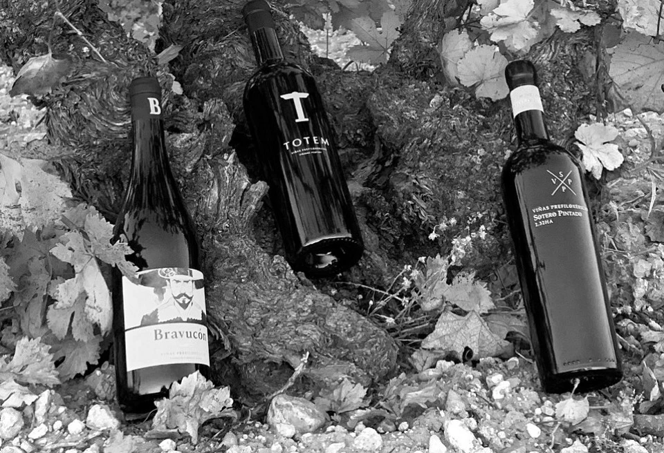 Nuestros vinos... Nuestros vinos...